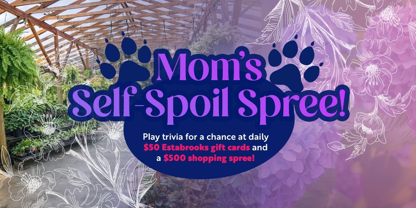 Mom’s Self-Spoil Spree: Win an Estabrooks Gift Card And a $500 Shopping Spree