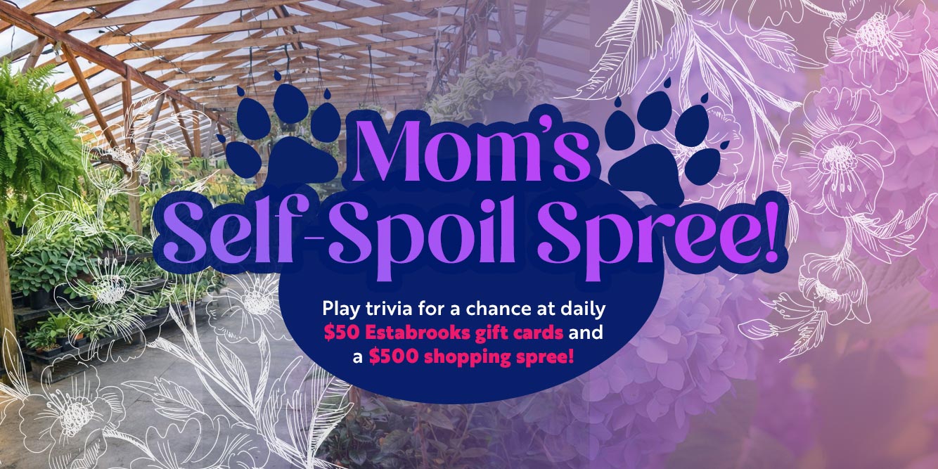 Mom’s Self-Spoil Spree: Win an Estabrooks Gift Card And a $500 Shopping Spree